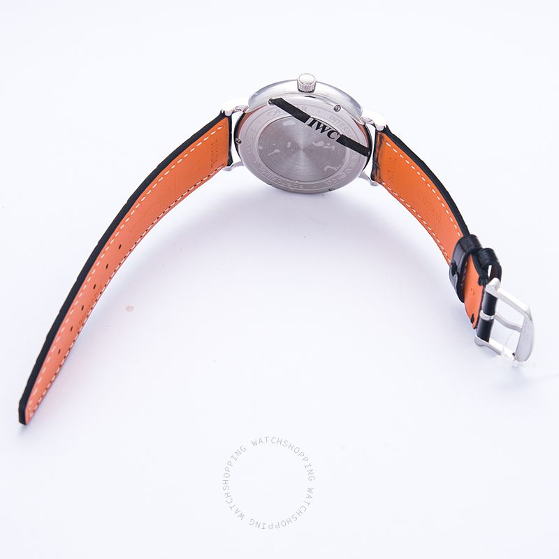IWC Portofino IW458102 WATCHES 2