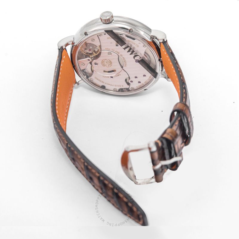 IWC Portofino IW510103 WATCHES 2