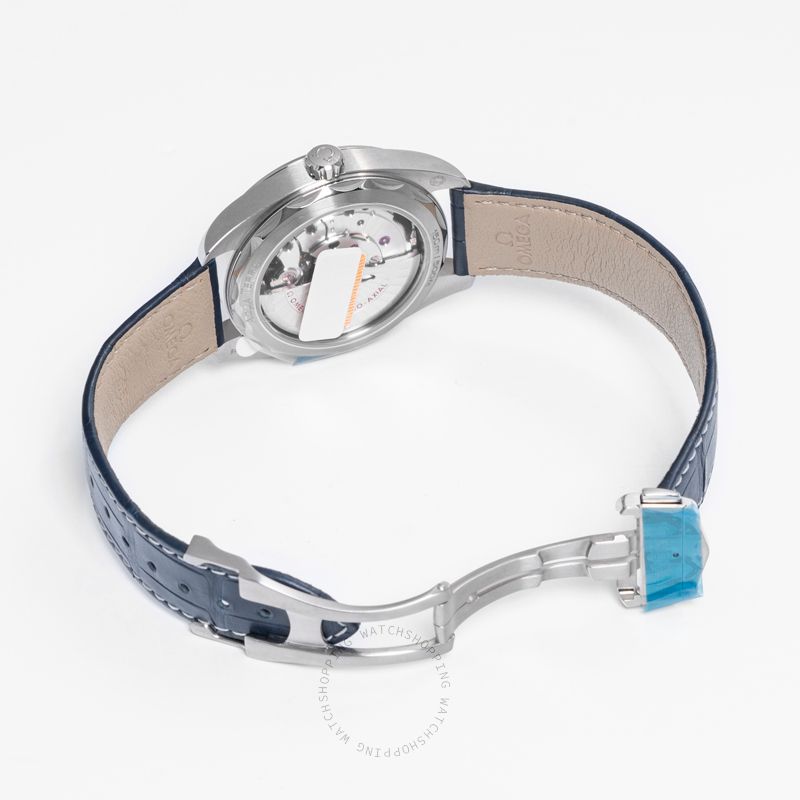 Omega Seamaster 220.13.41.21.03.002 WATCHES 2