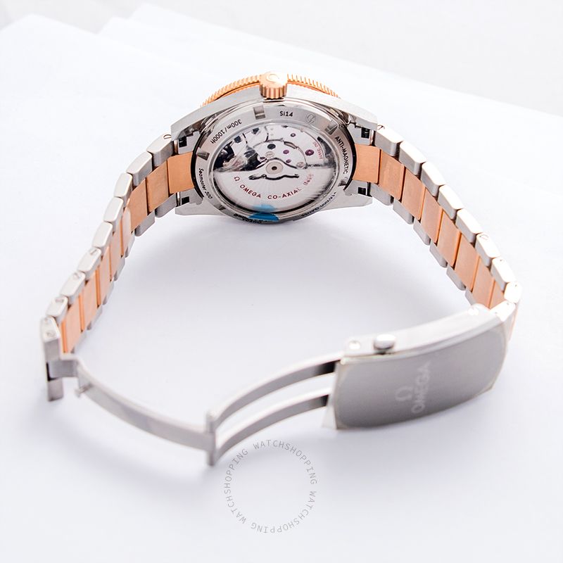 Omega Seamaster 233.20.41.21.01.001 WATCHES 2