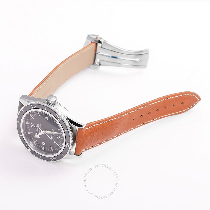 Omega Seamaster 233.32.41.21.01.002 WATCHES 2