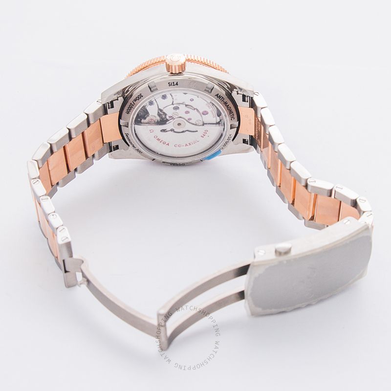 Omega Seamaster 233.60.41.21.03.001 WATCHES 2