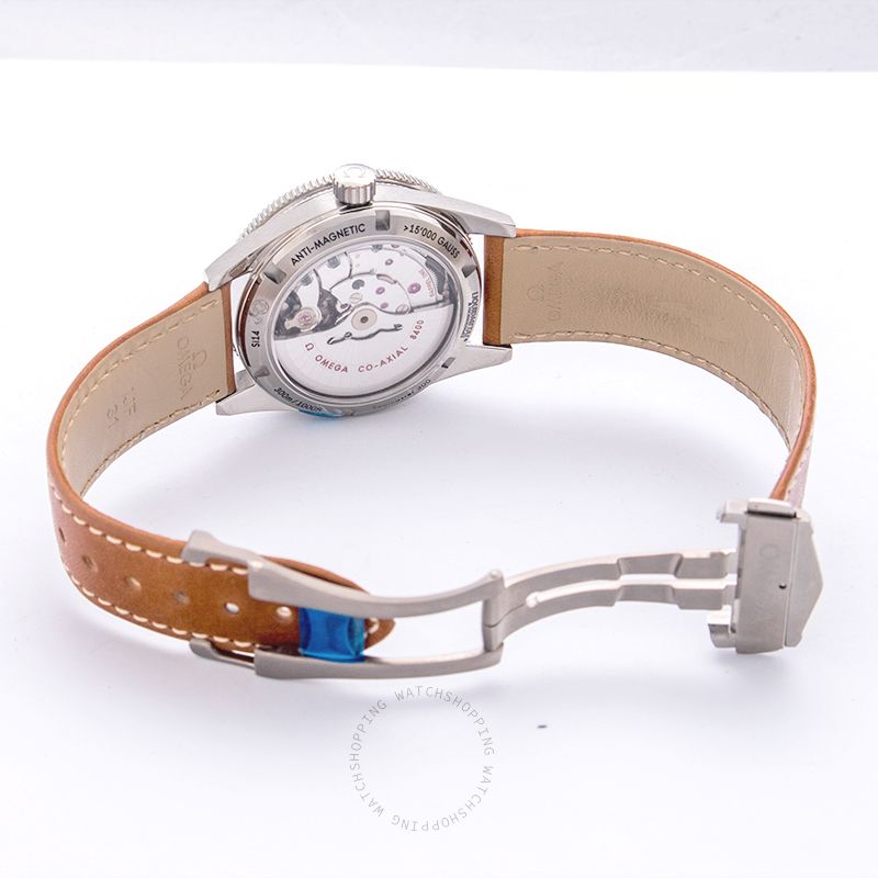 Omega Seamaster 233.92.41.21.03.001 WATCHES 2