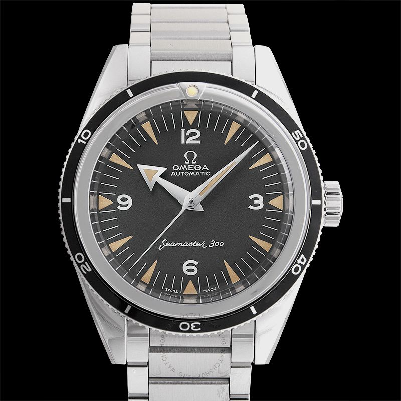 Omega Seamaster 234.10.39.20.01.001 WATCHES 2