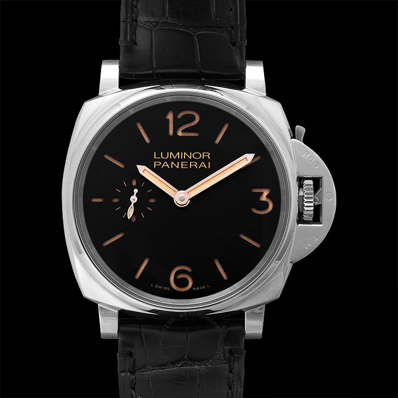 Panerai Luminor Due PAM00676 WATCHES 2