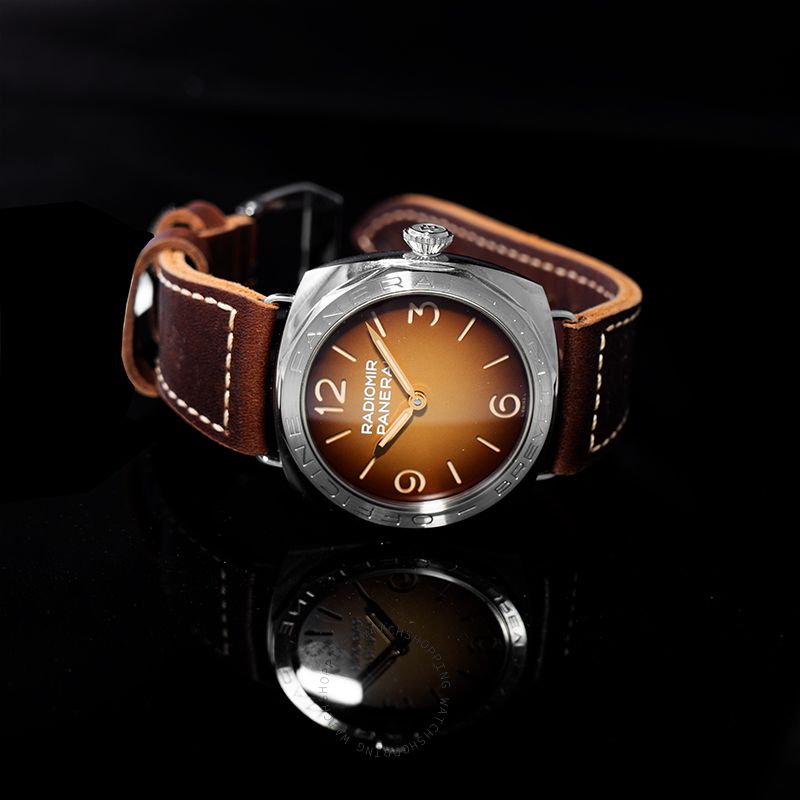 Panerai Radiomir PAM00687 WATCHES 2