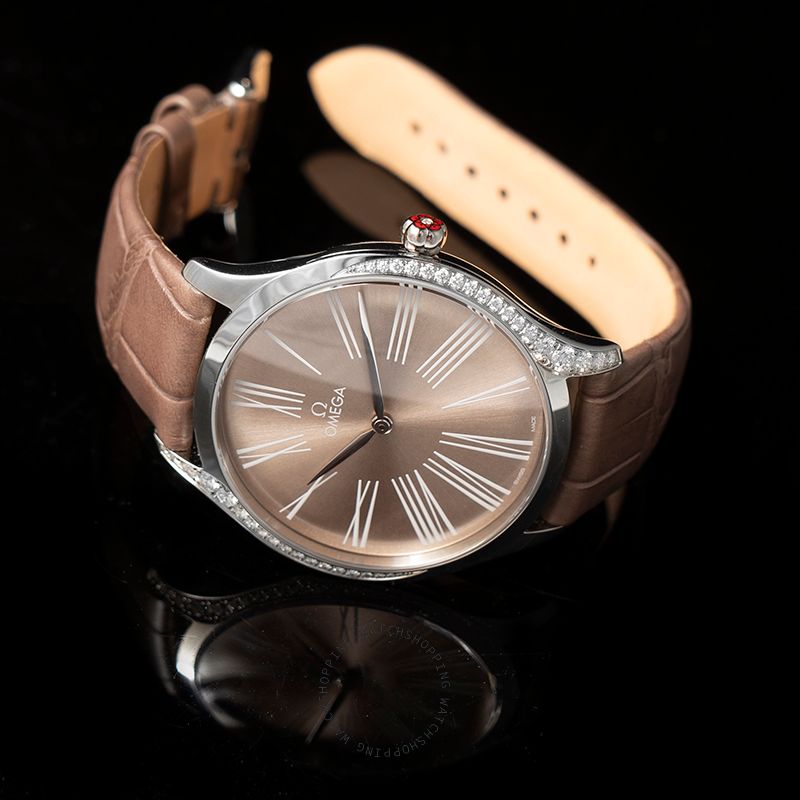 replica Omega De Ville 428.18.39.60.13.001 WATCHES 3