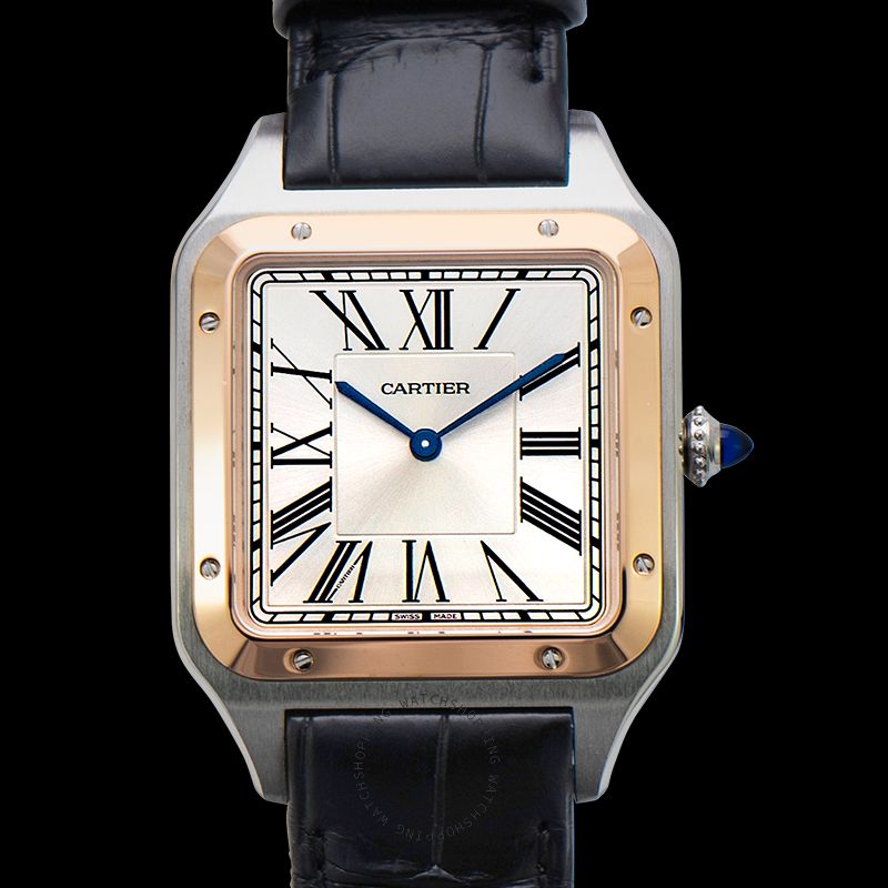 replica Cartier Santos-Dumont W2SA0017 WATCHES 3 