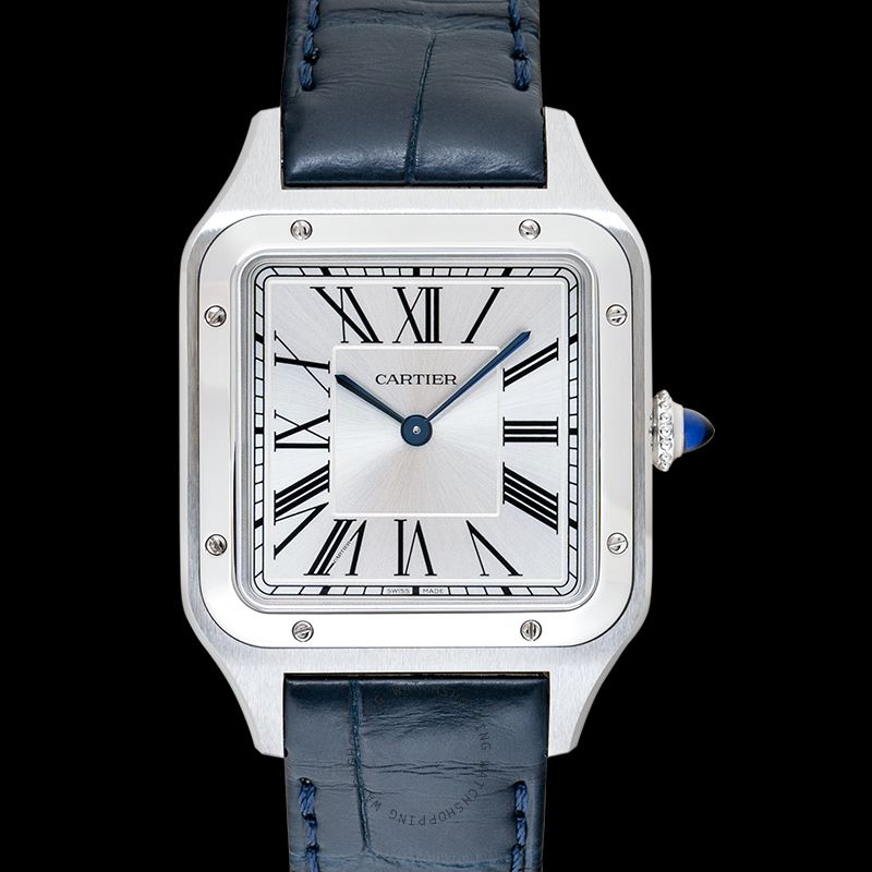 replica Cartier Santos de Cartier WSSA0023 WATCHES 3 