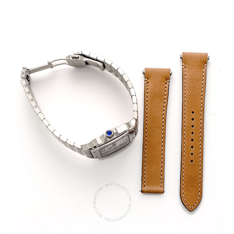 replica Cartier Santos de Cartier WSSA0029 WATCHES 3 