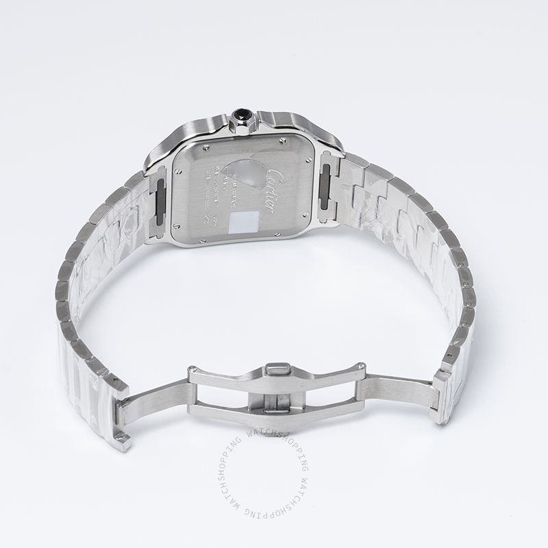 replica Cartier Santos de Cartier WSSA0037 WATCHES 3 