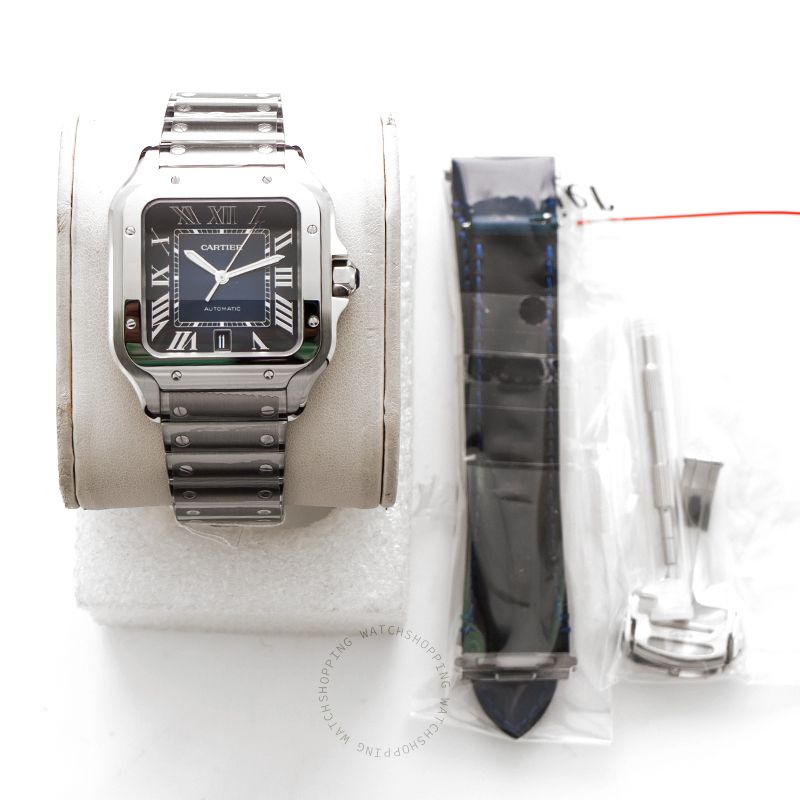 replica Cartier Santos de Cartier WSSA0030 WATCHES 3 