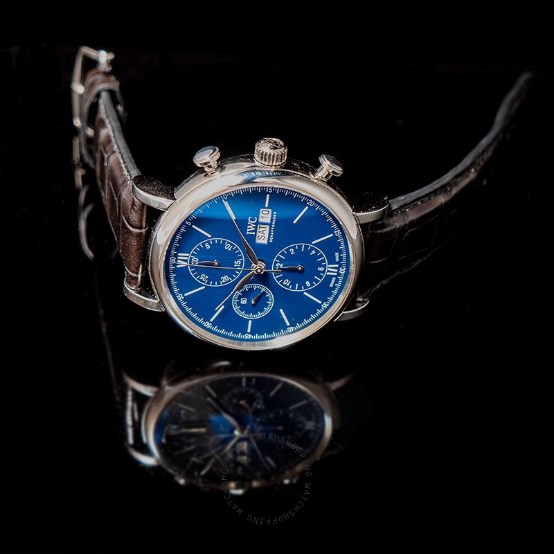 replica IWC Portofino IW391023 WATCHES 3