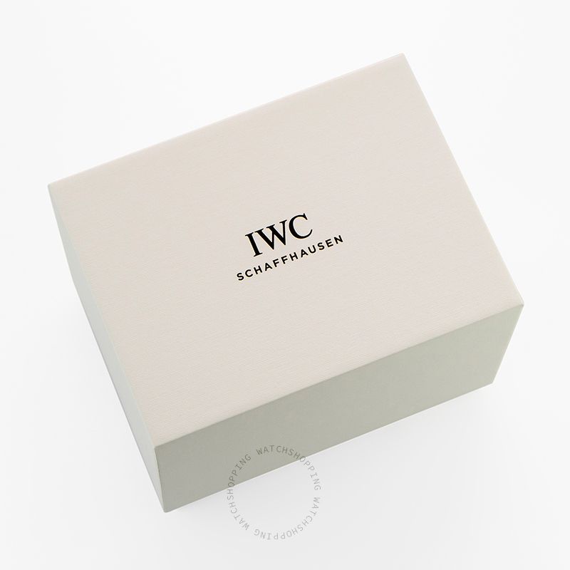 replica IWC Pilot IW388102 WATCHES 3 