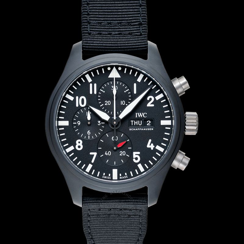 replica IWC Pilot IW389101 WATCHES 3 
