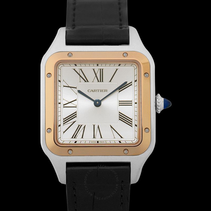 replica Cartier Santos de Cartier W2SA0011 WATCHES 3