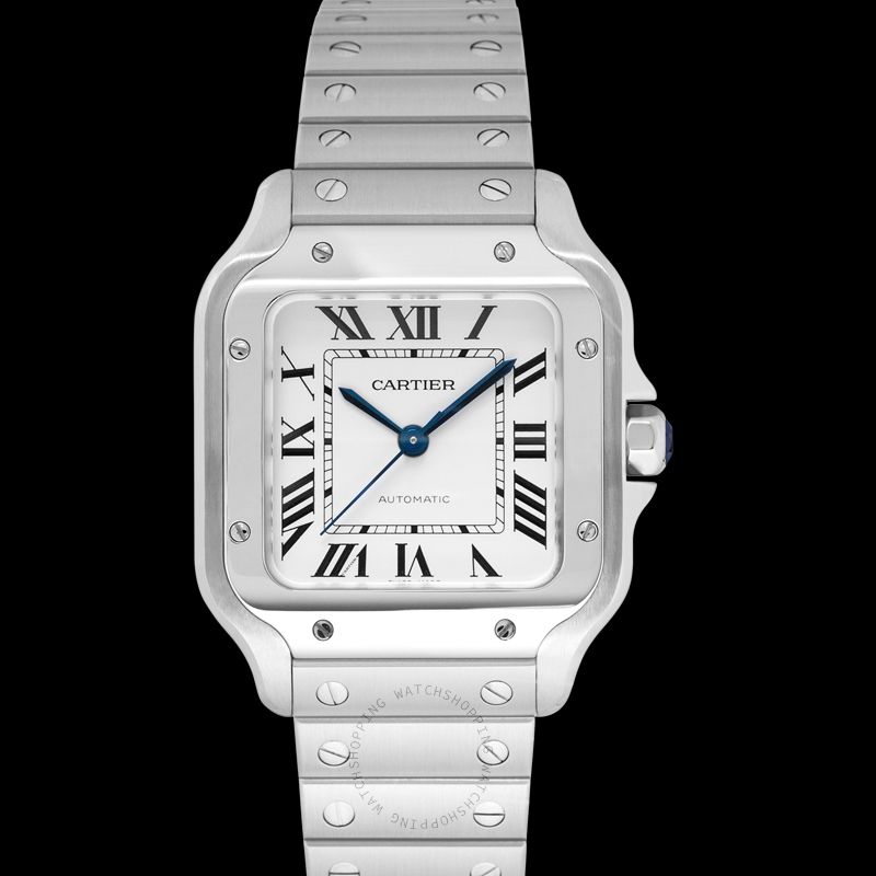replica Cartier Santos de Cartier WSSA0010 WATCHES 3